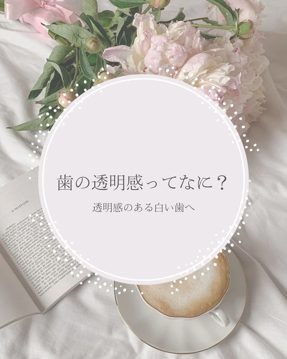 画像1229