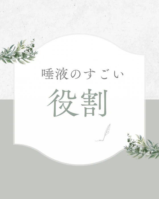 画像1254