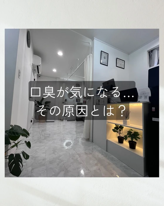 画像1272