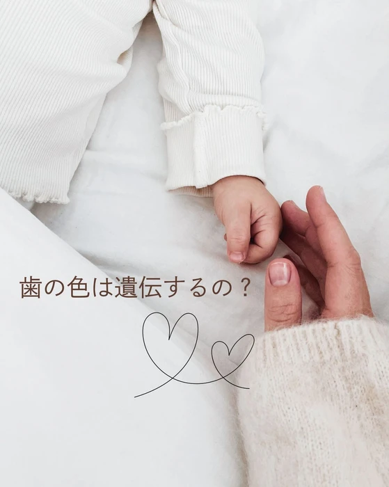 画像1279