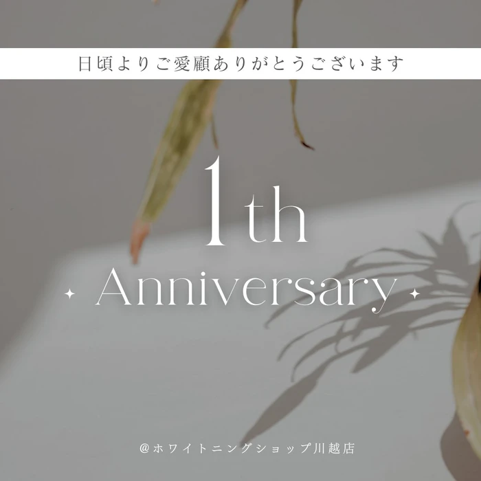 画像1286