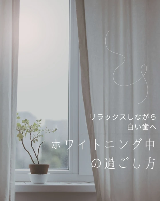 画像1429