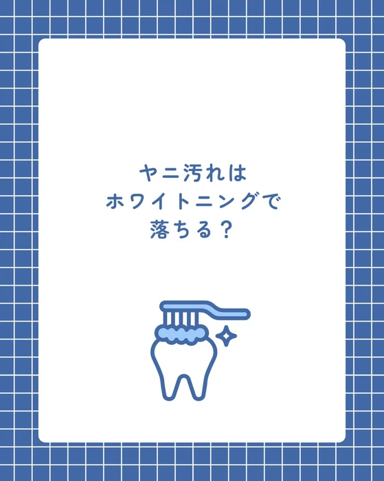 画像1456