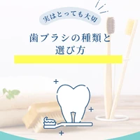 画像1478