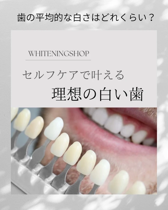 画像1602