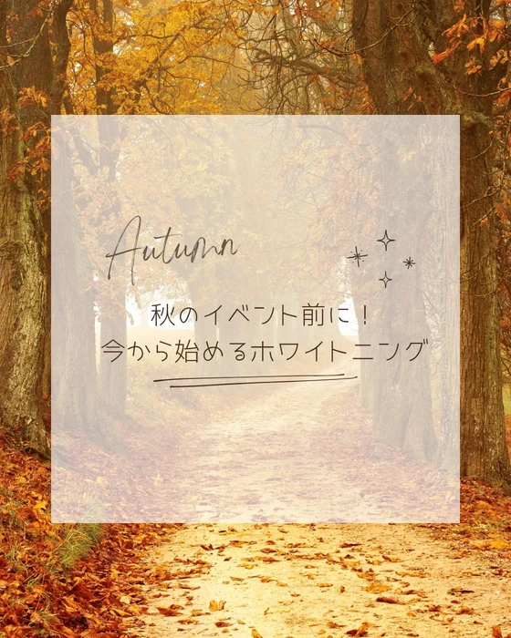 画像1628