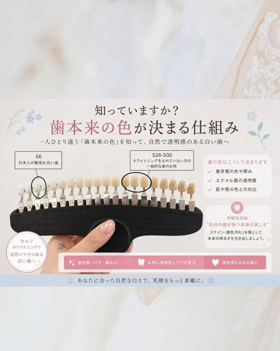 画像1674