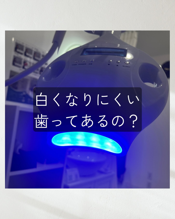 画像1692