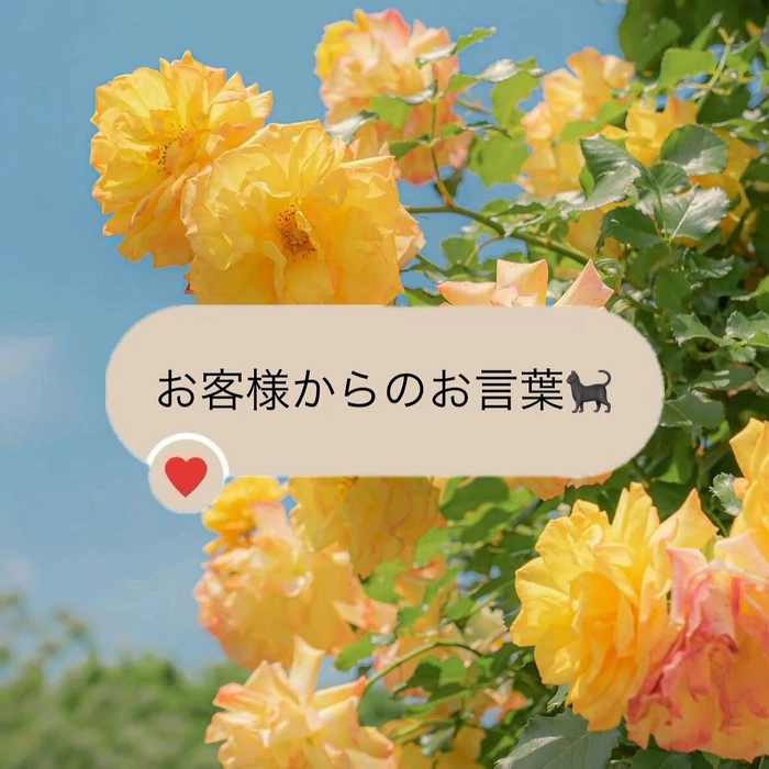 画像316