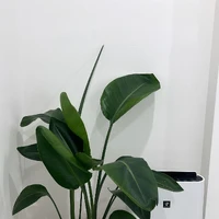 画像974